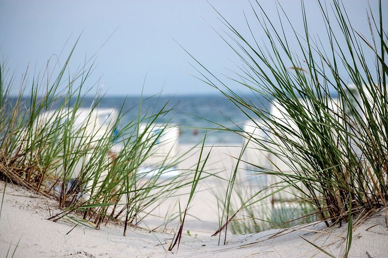 Blick auf Stranddünen und Meer Stranddünen mit Gras im Vordergrund und Meer im Hintergrund